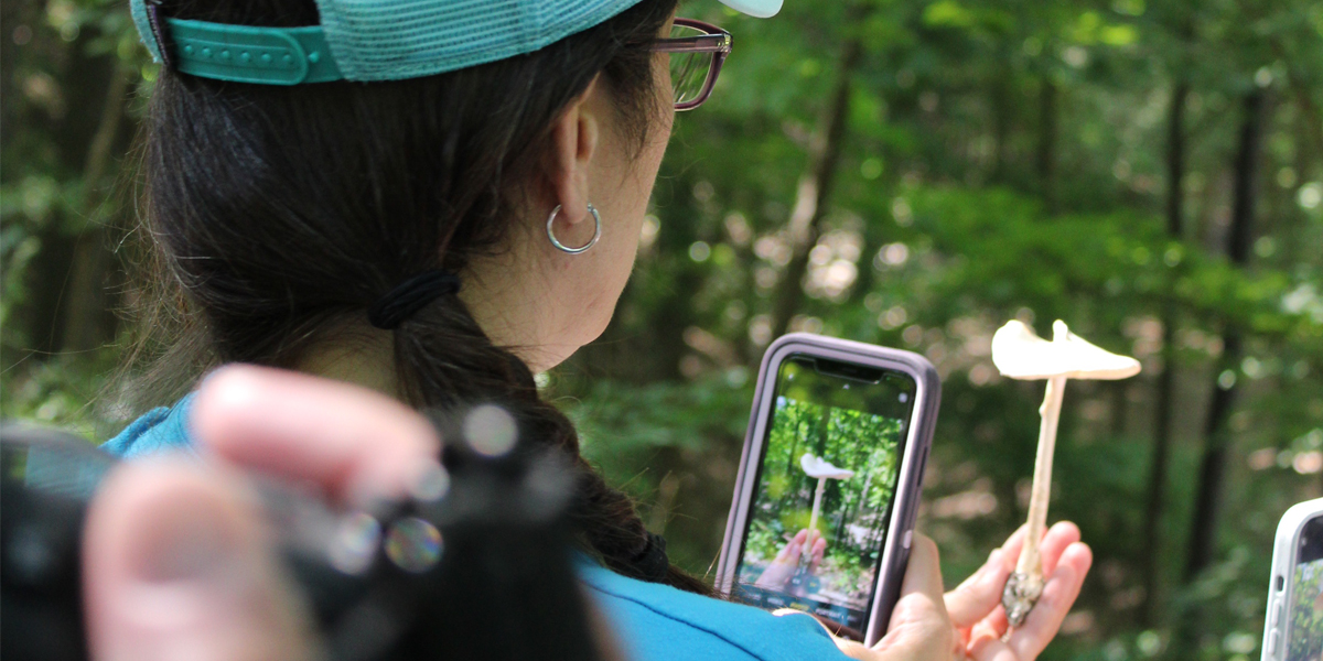 A person taking a photo on their phone of a mushroom